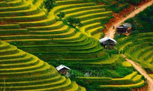 Quy hoạch Mù Cang Chải thành huyện du lịch tiêu biểu, phát triển bền vững
