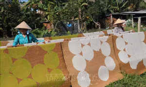 Làng nghề bánh phồng Cái Bè tất bật vụ Tết 