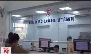 Nhiều thuận lợi với biển số định danh