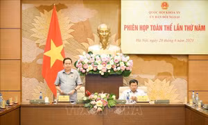 Nâng cao hiệu quả hoạt động đối ngoại của Quốc hội trong tình hình mới