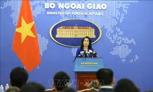 Bộ Ngoại giao Việt Nam lên tiếng về hoạt động của nhóm tàu khảo sát﻿ Hải Dương 8 của Trung Quốc