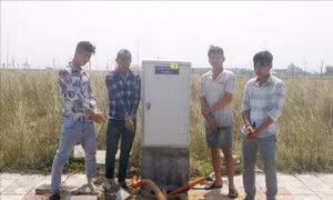 Bắt giữ 5 đối tượng trộm cắp thiết bị điện
