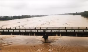 Lũ trên sông Thạch Hãn dâng cao, vùng thấp trũng bị ngập lụt
