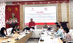 Khởi động giai đoạn II dự án cứu trợ khoảng 35.000 người dân bị thiệt hại do bão 