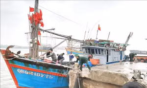 Quảng Bình cứu hộ thành công tàu cá gặp nạn trên biển
