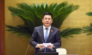 Công khai tiêu chí xác định dự án phục vụ APEC 2027 được áp dụng chính sách đặc thù