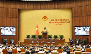 Thông cáo báo chí số 5, Kỳ họp không thường lệ thứ Nhất, Quốc hội khóa XVI