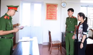 Khởi tố, tạm giam nữ kế toán doanh nghiệp lừa đảo chiếm đoạt tài sản