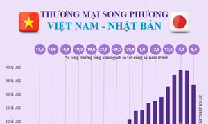 Quan hệ thương mại Việt Nam - Nhật Bản