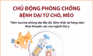 Chủ động phòng chống bệnh dại từ chó, mèo