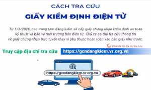 Cách tra cứu giấy chứng nhận kiểm định điện tử
