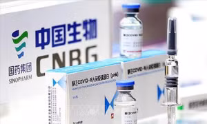 WHO sẽ tiến hành đánh giá hai loại vaccine Sinopharm, CoronaVac 