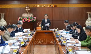 Đà Nẵng đẩy nhanh tiến độ xử lý các vụ án, vụ việc về tham nhũng, tiêu cực
