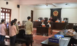 Các vụ án kinh tế, tham nhũng được Tòa án giải quyết trong hạn luật định