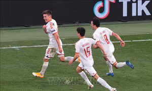 Cựu tiền đạo Tomasson kêu gọi các cầu thủ Đan Mạch tập trung trước xứ Wales 