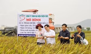 Phát triển khoa học công nghệ phục vụ sự nghiệp công nghiệp hóa, hiện đại hóa