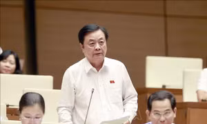 Bộ trưởng Bộ Nông nghiệp và Phát triển nông thôn Lê Minh Hoan trả lời chất vấn và giải trình về những vấn đề có liên quan tại Quốc hội.