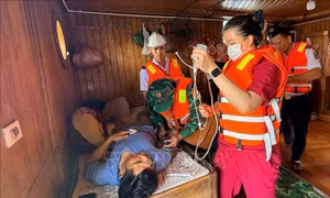 Cứu sống thuyền trưởng gặp sự cố về sức khỏe trên biển