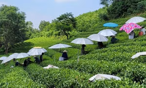 Đồng Hỷ phấn đấu trở thành huyện nông thôn mới vào năm 2025
