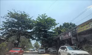Khánh Hoà khuyến cáo người dân cẩn trọng với tình trạng 'tạo sóng' sốt đất