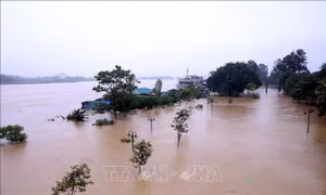 Tuyên Quang: Tìm thấy thi thể người bố trong vụ 3 bố con bị nước lũ cuốn trôi