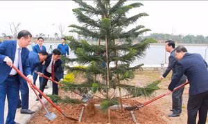 Nhiều địa phương hưởng ứng Tết trồng cây 