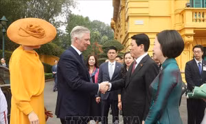 Nhà Vua và Hoàng hậu Bỉ kết thúc tốt đẹp thăm cấp Nhà nước đến Việt Nam