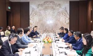 Thường trực Ban Bí thư Trần Cẩm Tú tiếp Đoàn đại biểu Chính hiệp toàn quốc Trung Quốc