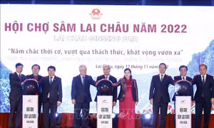 Chủ tịch nước Nguyễn Xuân Phúc: Nâng tầm giá trị cây sâm Việt Nam