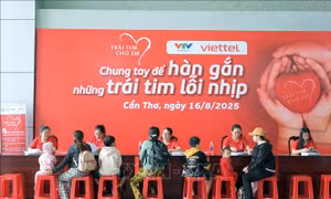Hỗ trợ khám sàng lọc bệnh tim bẩm sinh cho trẻ em ở Cần Thơ