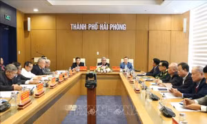 Làm rõ giá trị lịch sử - văn hóa của bộ sưu tập cổ vật An Biên - Hải Phòng