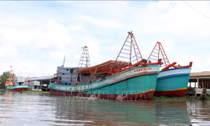 Khắc phục 'thẻ vàng' IUU: Nỗ lực ngăn chặn tàu cá vi phạm tại vùng biển nước ngoài