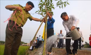 Cần Thơ: Lan tỏa phong trào vì đô thị xanh, bền vững