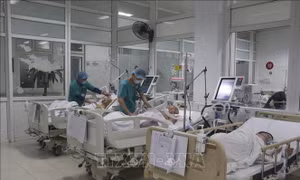Chủ động các phương án chăm sóc sức khỏe nhân dân dịp Tết Nguyên đán