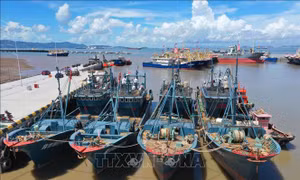 Trung Quốc nâng mức ứng phó khẩn cấp với siêu bão Doksuri