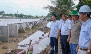Đẩy nhanh tiến độ xây kè chống sạt lở sông Ô Môn