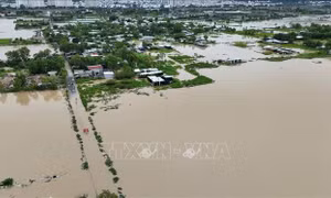 Mưa lũ làm 10.055 ha lúa, hoa màu bị thiệt hại