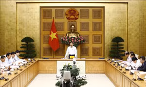 Bình ổn giá các mặt hàng thiết yếu, đáp ứng nhu cầu người dân