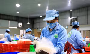 Tây Ninh chú trọng thực hiện các chính sách xã hội, nâng cao đời sống người dân
