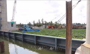 Tiền Giang đóng cống ngăn mặn và triều cường từ ngày 8/5