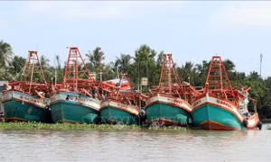 Chuyển hướng phát triển kinh tế biển bền vững 