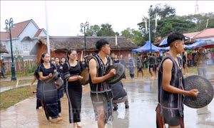 Tưng bừng Lễ hội Mừng lúa mới của đồng bào dân tộc K’Ho ở Lâm Đồng