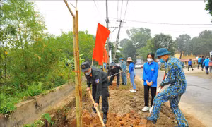 Tuổi trẻ Thủ đô xung kích, tiên phong vì cộng đồng xã hội