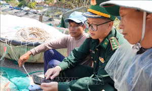 Tuyên truyền bầu cử trên không gian số: Bài 2 - Truyền thông đa phương tiện giúp lan tỏa mạnh mẽ thông tin