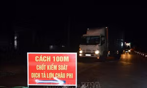 Cà Mau đặt mục tiêu 100 ngày đêm đẩy lùi dịch tả lợn châu Phi