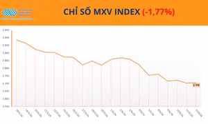 Chỉ số MXV-Index đánh mất 1,8%, cà phê nổi bật giữa nhịp điều chỉnh của thị trường