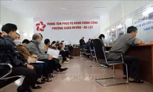 Lâm Đồng: 100% đơn vị đồng bộ hệ thống mới, xử lý hàng ngàn hồ sơ mỗi ngày