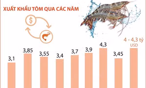 Dự báo xuất khẩu tôm sẽ phục hồi và tăng nhẹ từ 10 - 15% năm 2024