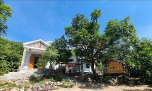 Ninh Thuận: Sớm ổn định chỗ ở, sinh kế cho người dân vùng sạt lở núi đá