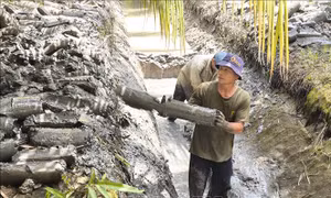 Nông dân linh hoạt 'né mặn' trong cao điểm mùa khô